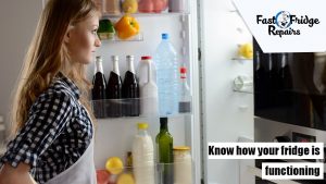 Know How Your Fridge is Functioning