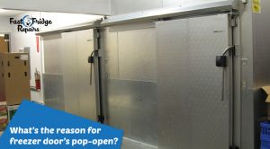 freezer-doors