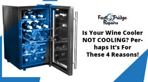 wine coolers fridge