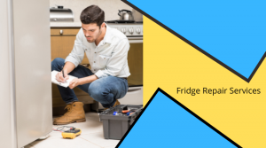 fridge repair services