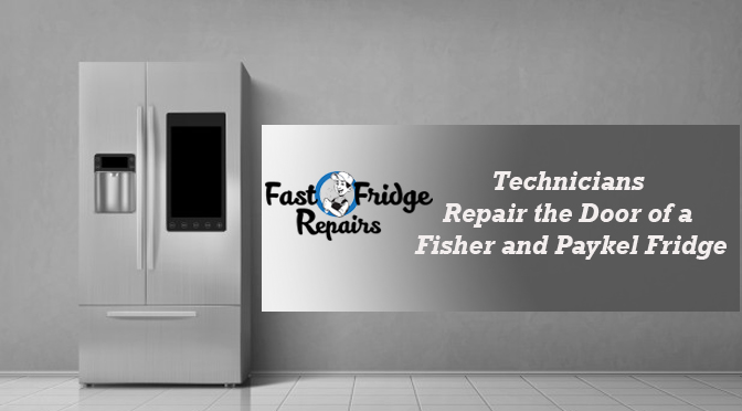 Fisher and Paykel Fridge